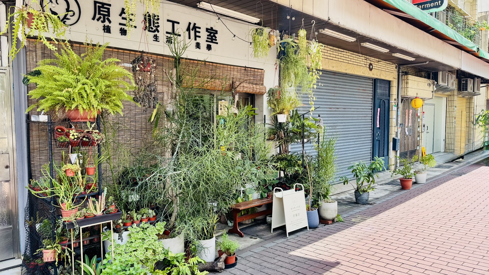 Taipei: Yuan Sheng Tai Studio - Floristry & Plant Terrarium & Moss Ball Making & Air Plants (Reservation required by phone)