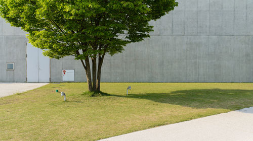 金沙遺址博物館