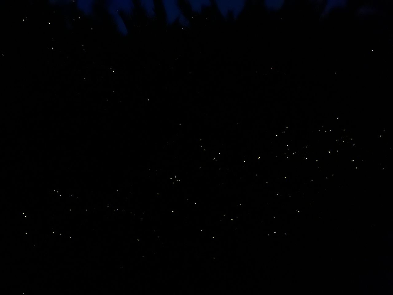 Bongawan 紅樹林遊船和螢火蟲之旅 (Bongawan Mangrove Cruise and Fireflies Tour)