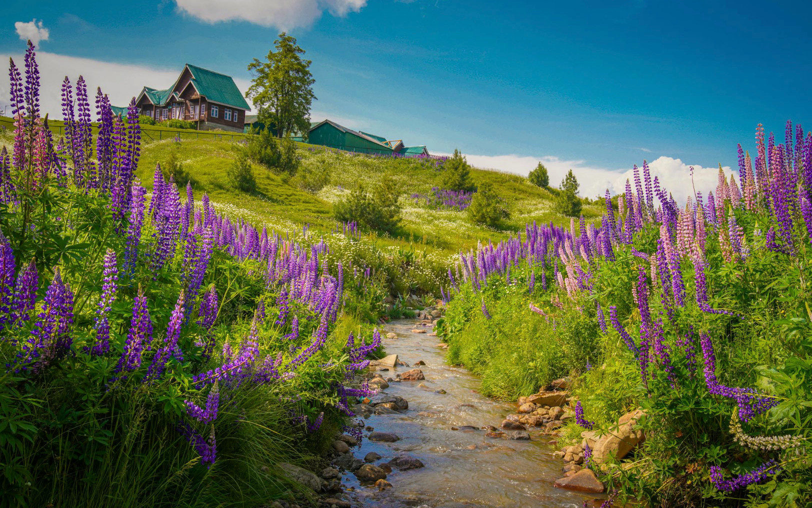 4-Day Private Guided Kashmir Tour: Srinagar, Gulmarg & Pahalgam