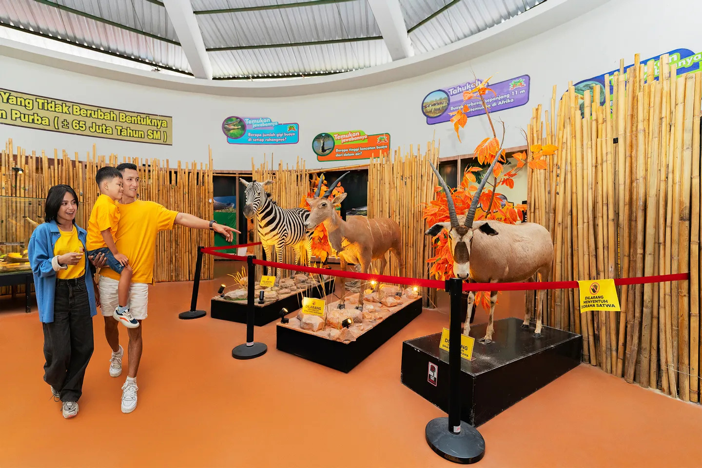 踏入史前奇觀與野生動物立體模型的世界！近距離探索迷人的動物展覽，激發全家人對大自然和科學的好奇心。