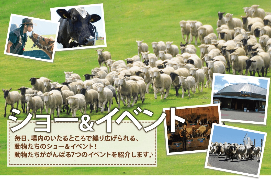 Tokyo Bay Ferry & Chiba Mother Farm & Okamoto Pier Day Tour