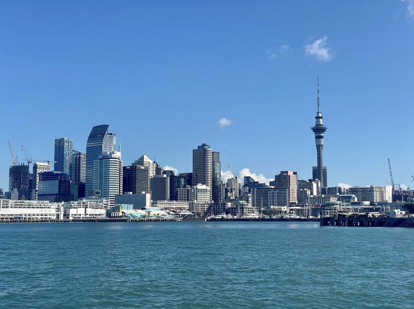 Auckland Harbour Wine and Cheese Cruise