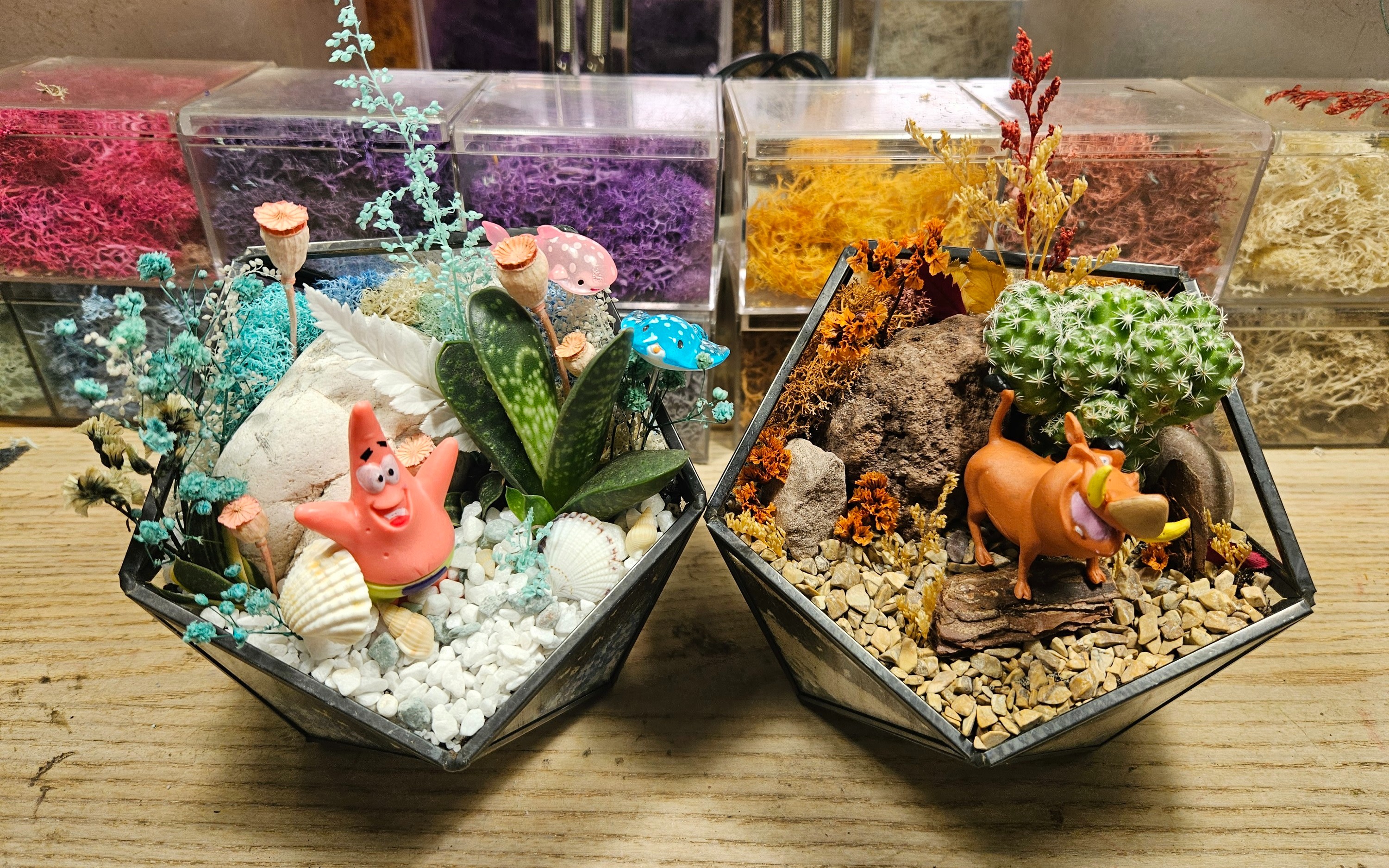 Open Terrarium and Moss Art Workshop in Singapore by SPPFY STUDIO