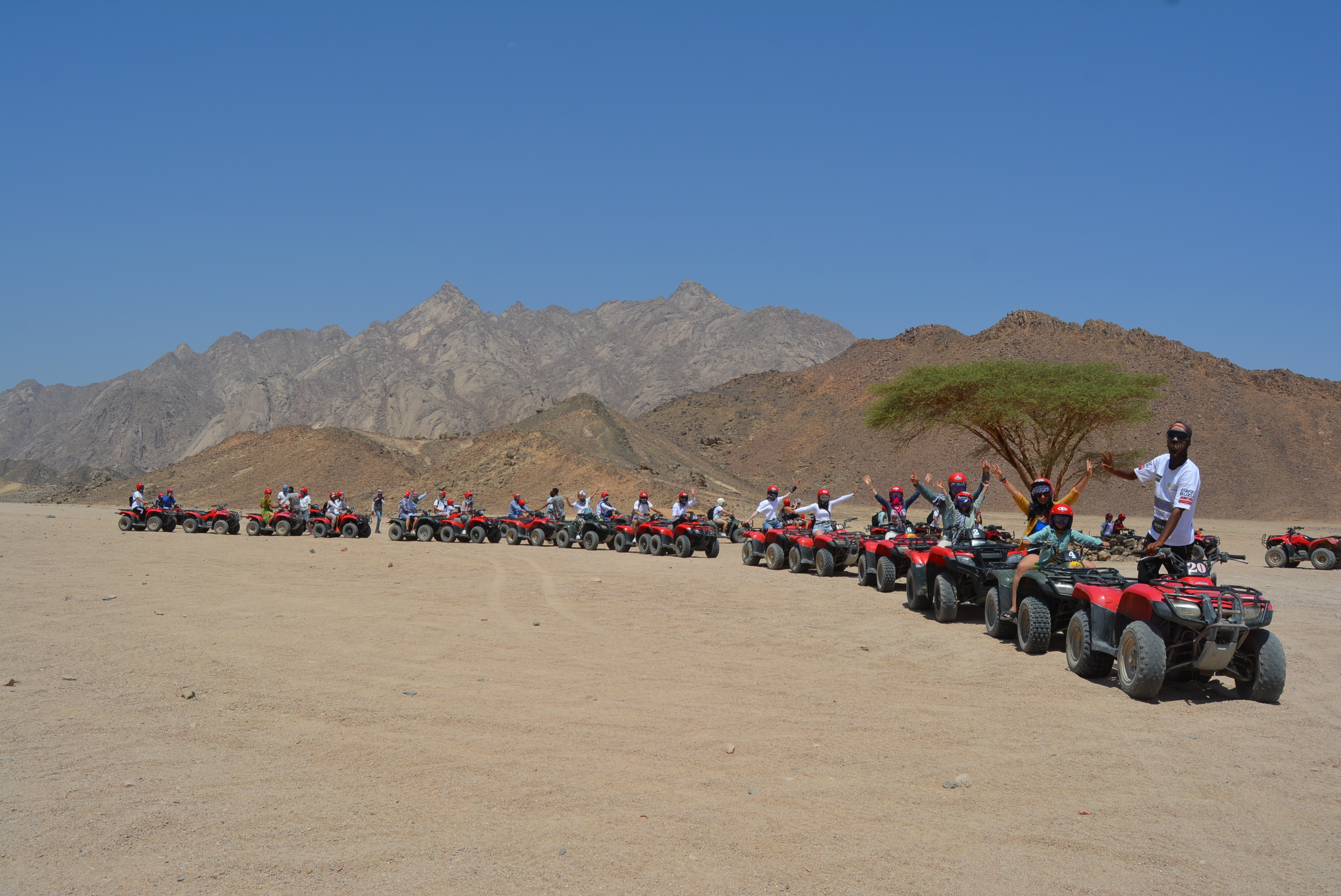 Morning desert safari