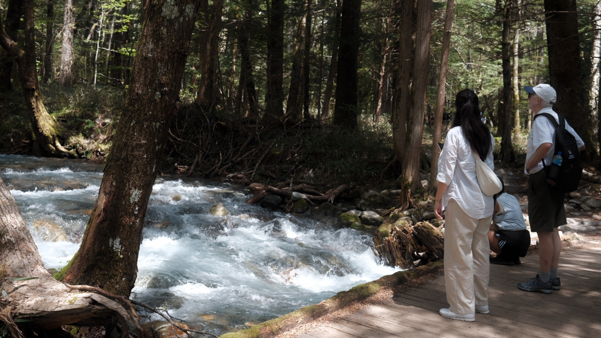 Summer Special! Nagano Kamikochi Private Car Full Day Trip