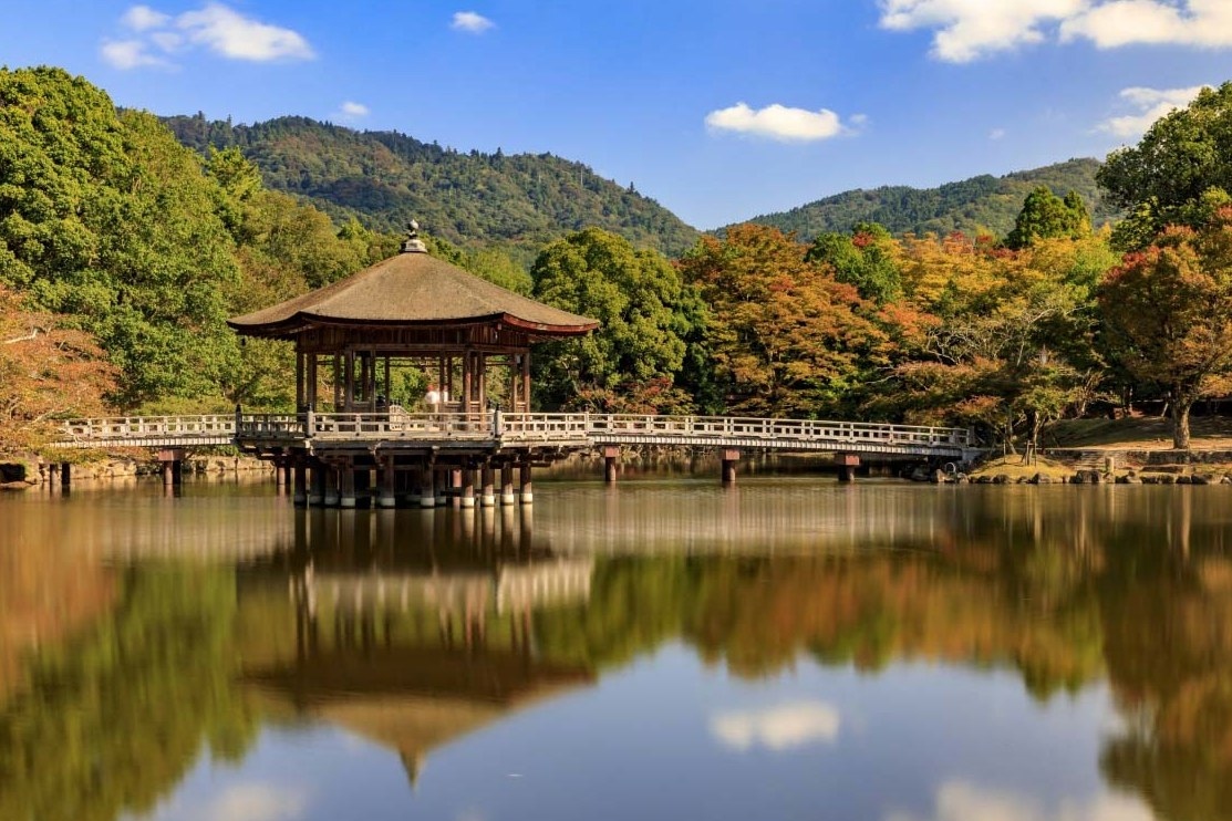 清水寺 & 伏見稻荷大社 & 奈良公園 & 東大寺／天橋立 & 伊根舟屋 & 美山茅葺之里一日遊 (韓中英導遊)