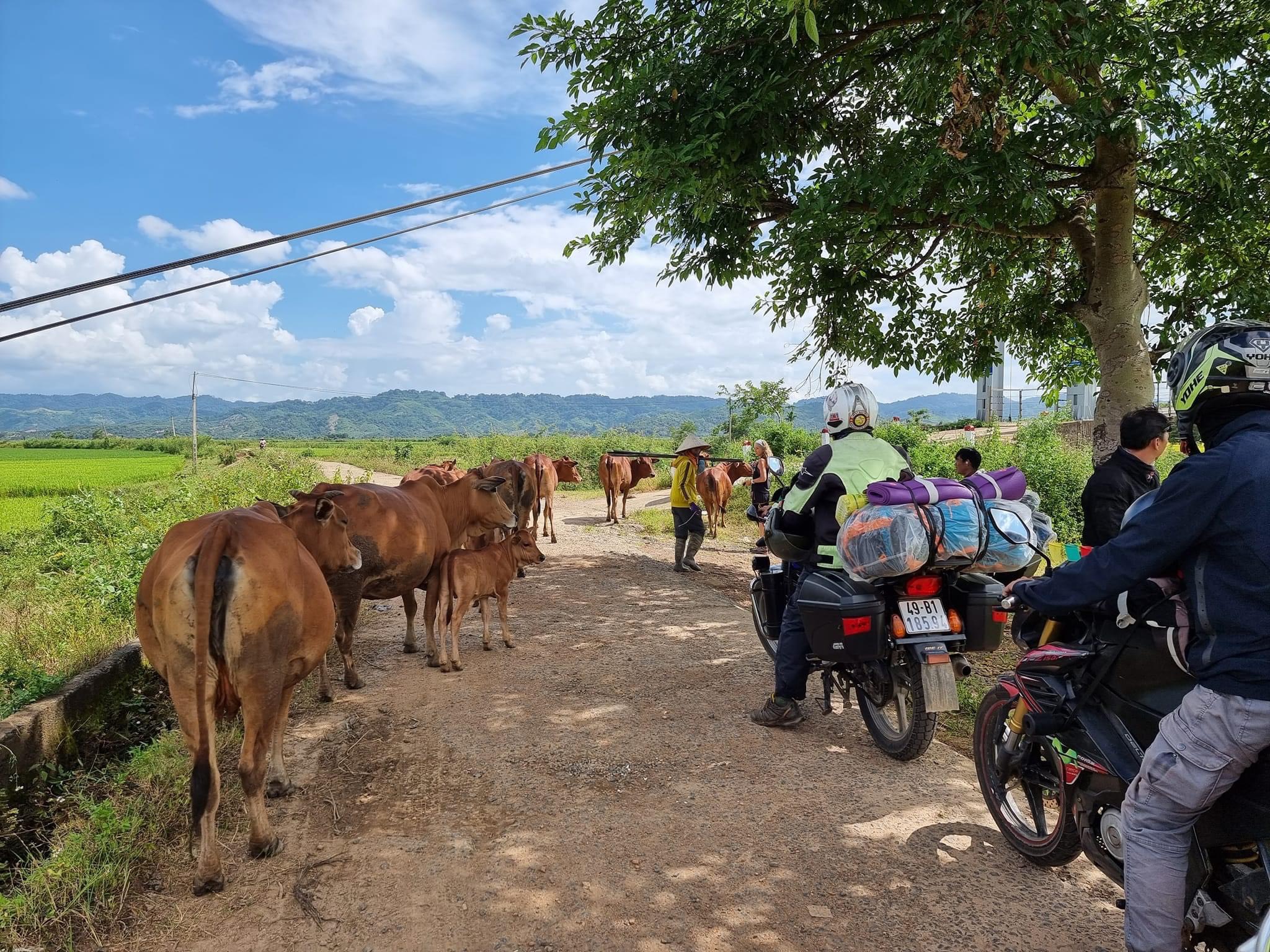 大叻 (Da Lat) 出發，美奈 (Mui Ne) 兩天一夜摩托車之旅