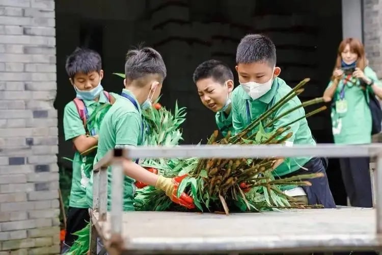 成都出發都臥龍中華大熊貓苑神樹坪基地誌願者體驗 私人導覽一日遊