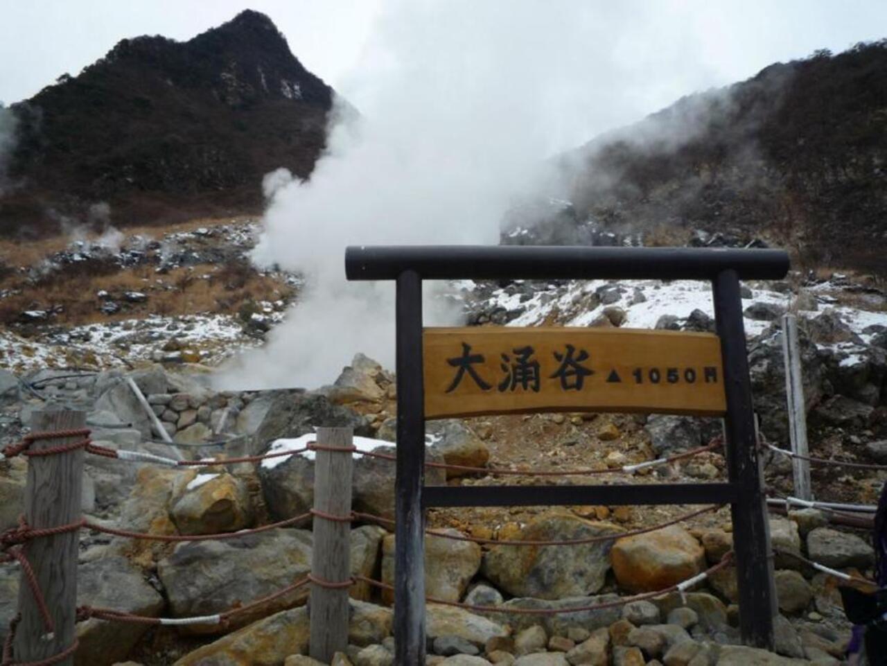 Fuji Hakone Day Trip | Hakone Pirate Ship, Hakone Ropeway, Hakone Shrine, Stroll Enoshima | Departure from Tokyo Shinjuku