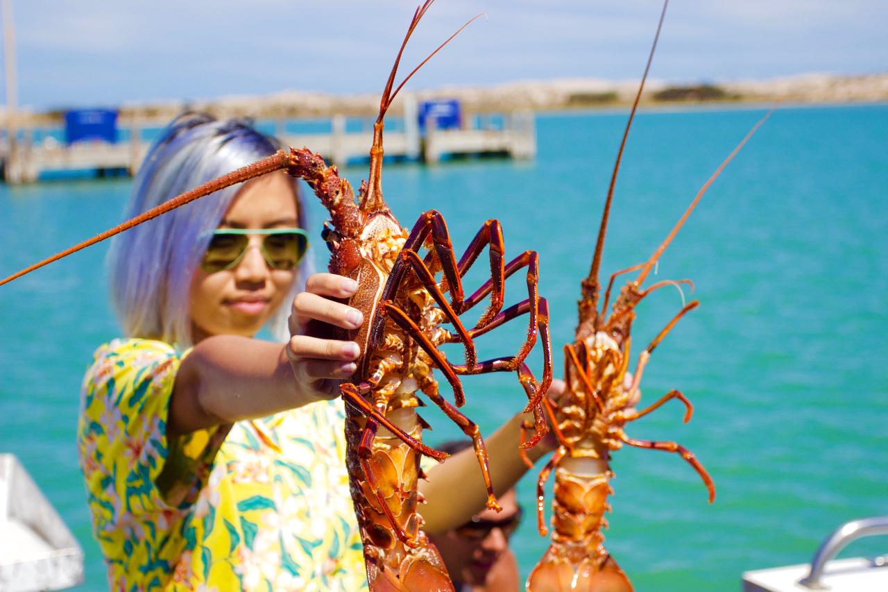 Lobster Catch & Keep Experience in Kalbarri