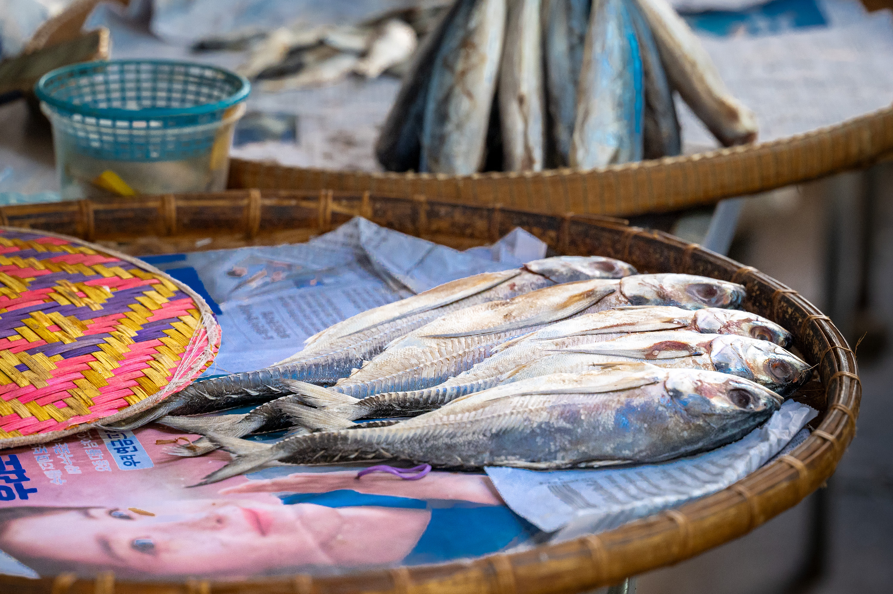 走訪魚市區 走訪魚市區