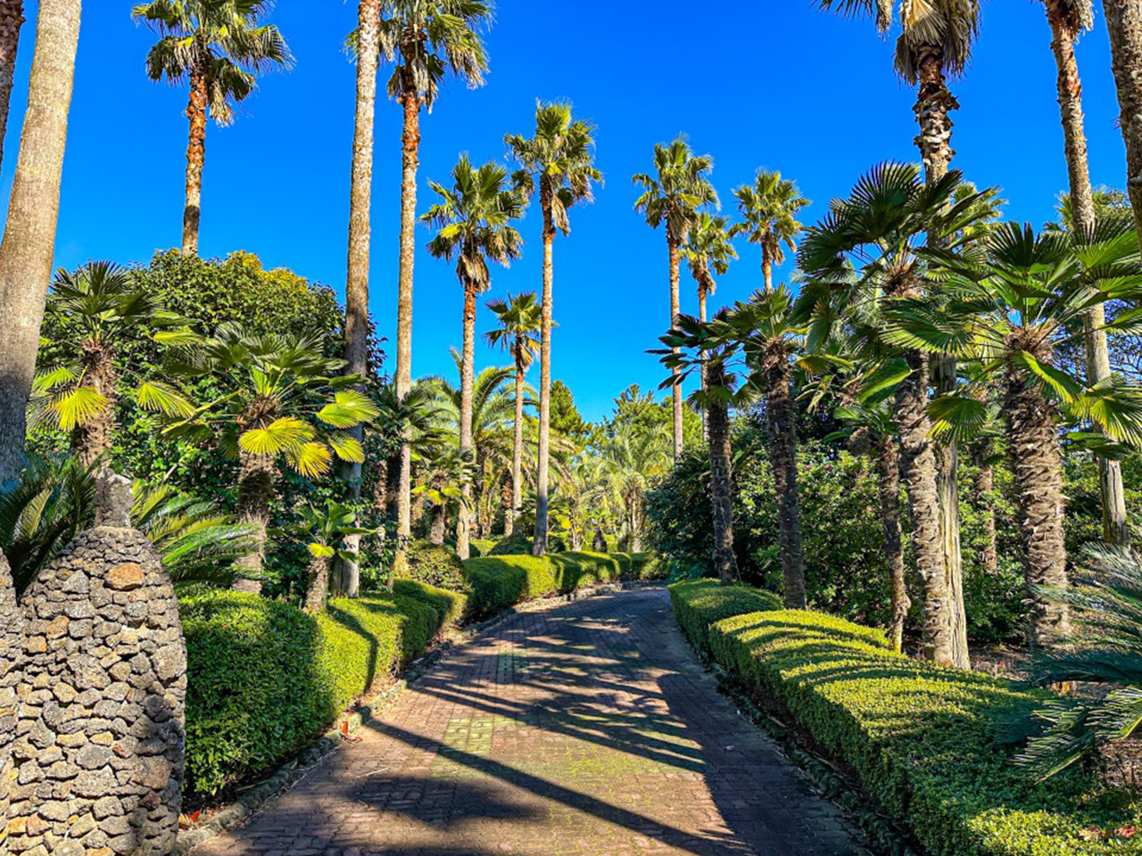 日出樂園:探索美麗的季節花園,欣賞繽紛秋花與寧靜步道。 日出樂園:探索美麗的季節花園,欣賞繽紛秋花與寧靜步道。