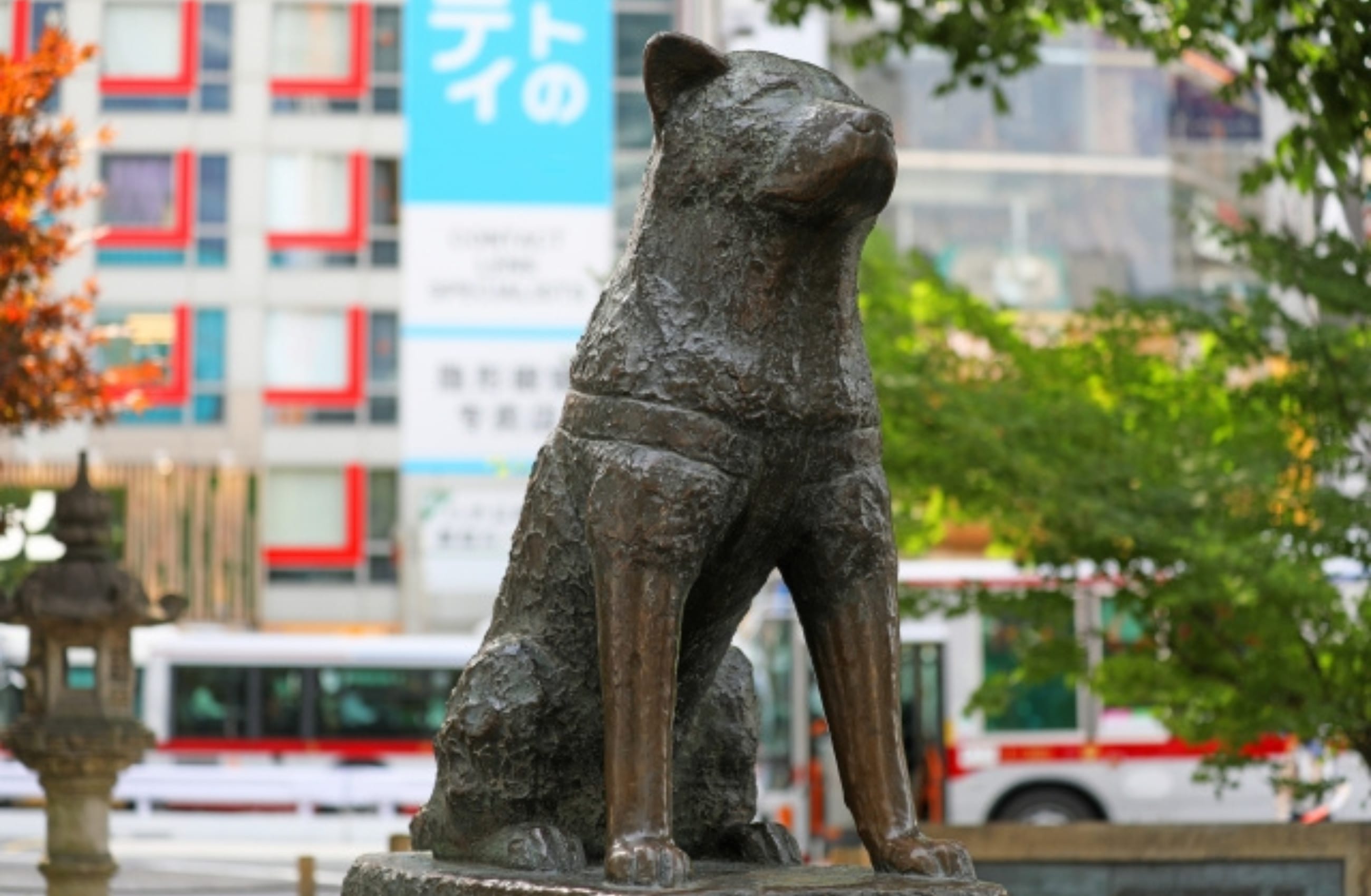 Experience Shinjuku and Shibuya at Night: A 4-Hour Tokyo Tour