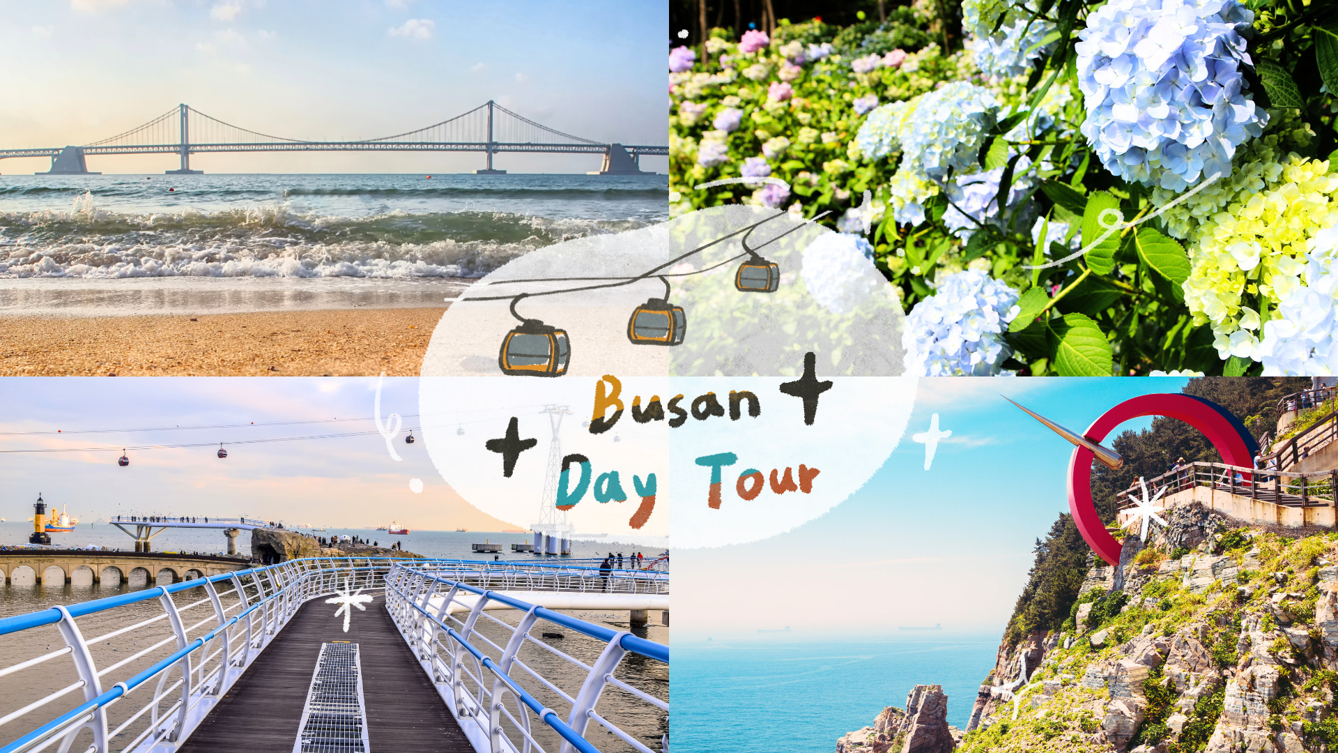 Taejongdae Hydrangea / Songdo Cable Car / Gamcheon / Gwangalli Tour