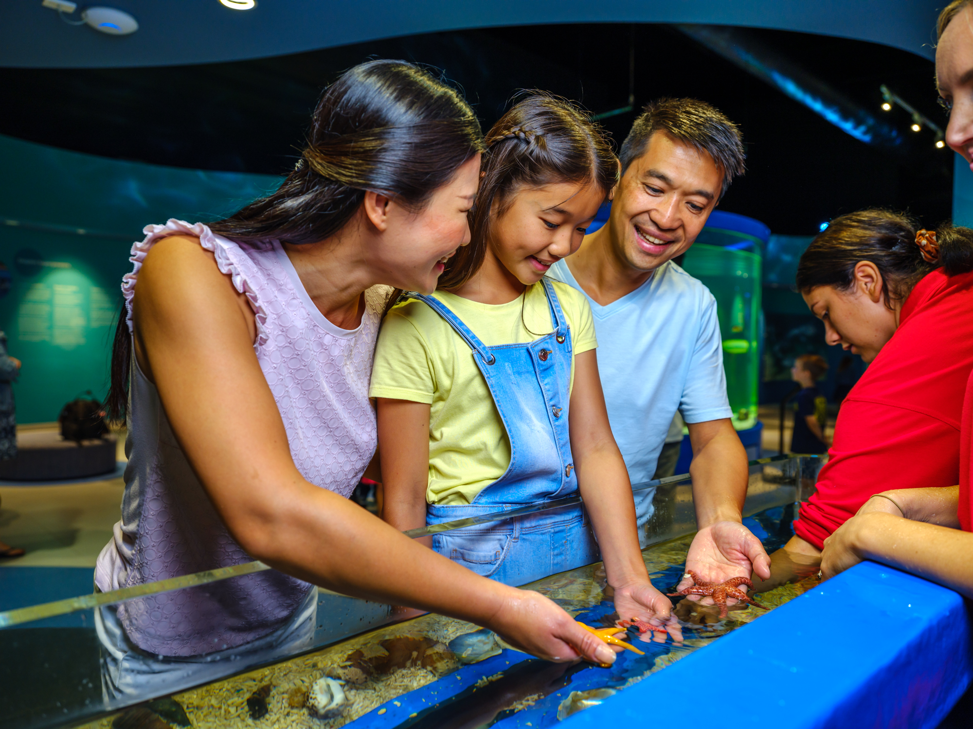 班伯利 Dolphin Discovery Centre 門票
