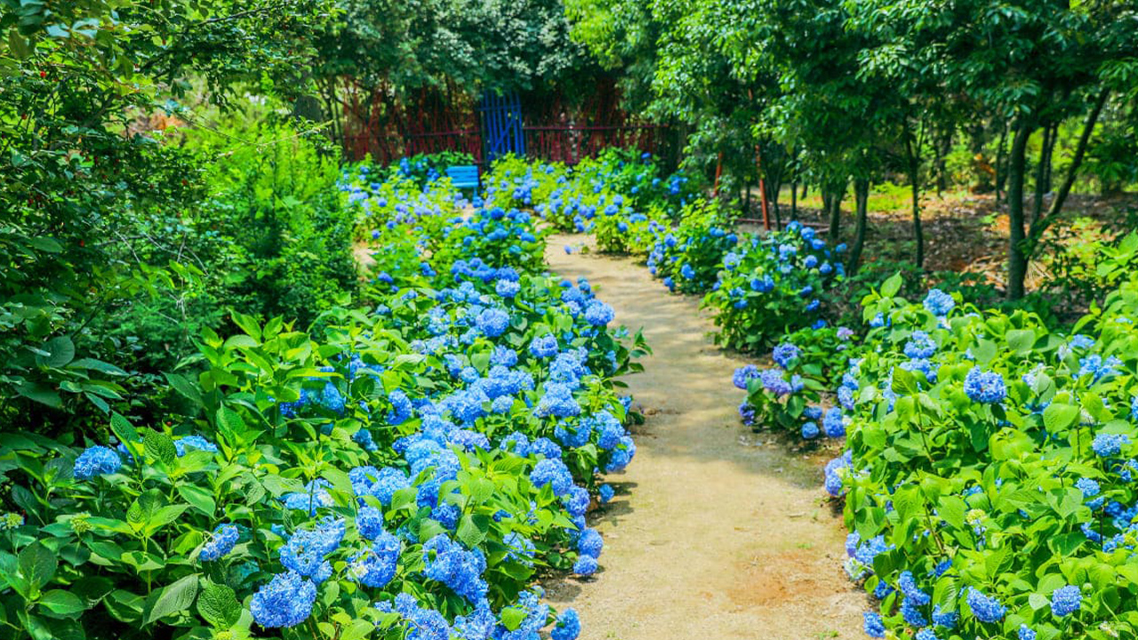 花卉、草地和樹木層層交織，展現出豐富而細膩的自然色調。