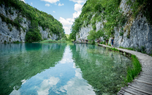 探索綠意盎然的森林步道，呼吸清新空氣，飽覽令人難忘的絕美景色。
