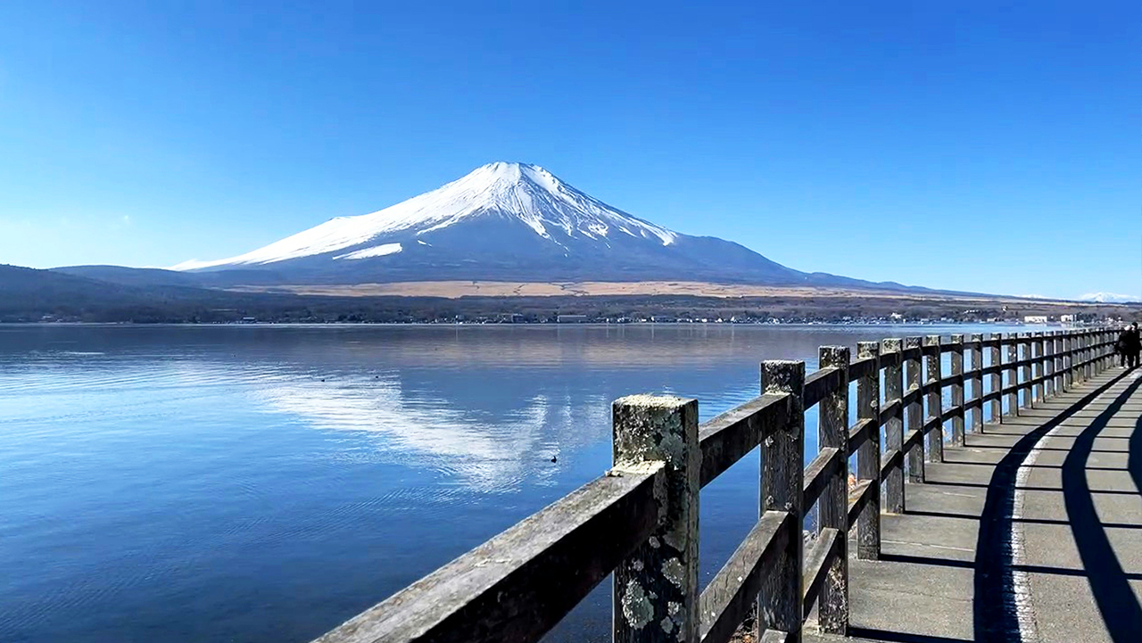 富士山山中湖單車騎行 河口湖纜車 抹茶體驗 網紅景點打卡二日遊｜4~9人精品小團｜東京/新宿出發