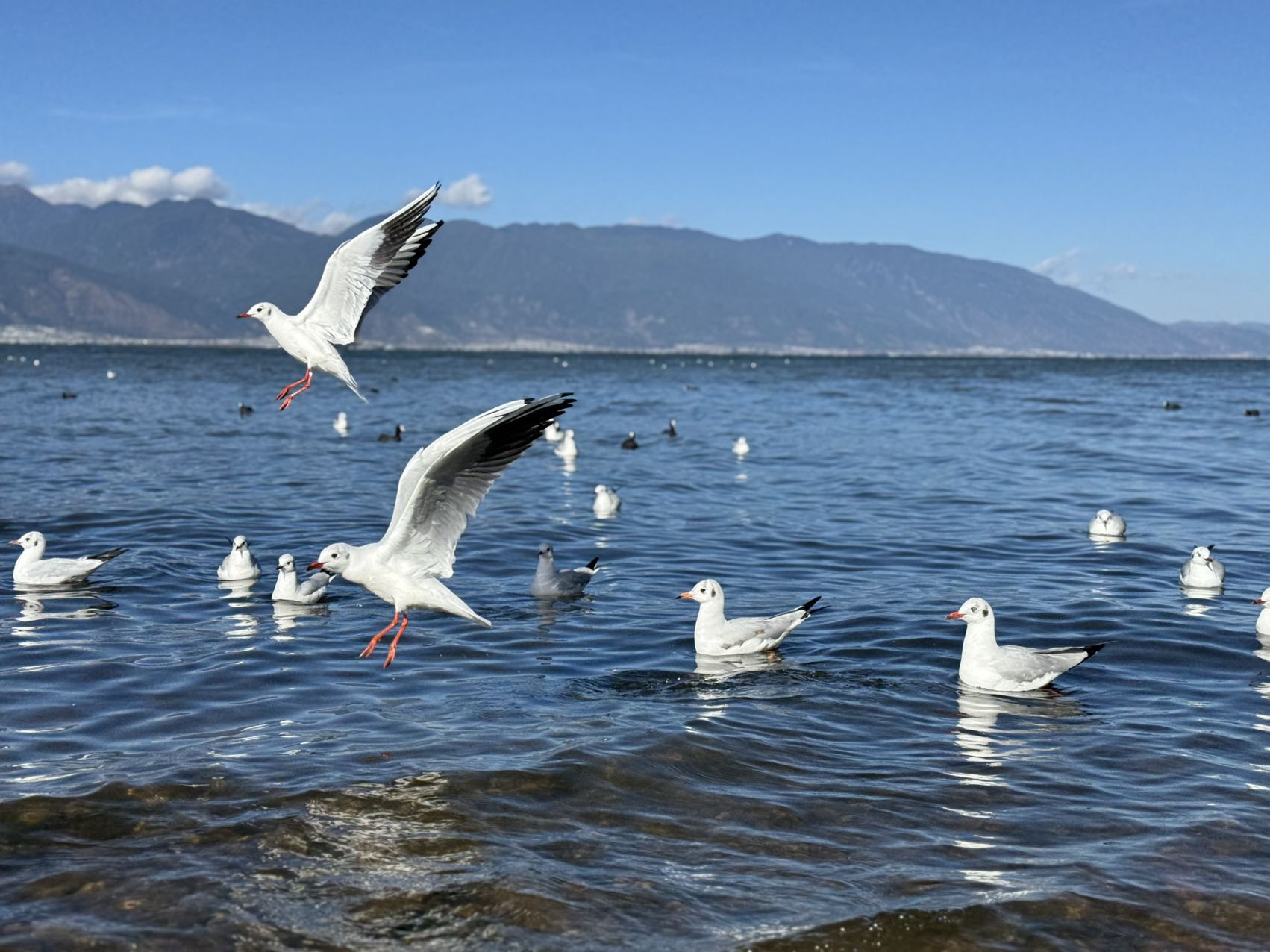 Tour route: Longkan Wharf - Caicun Wharf - Panxi S Bay - Covered Bridge - Xizhou Ancient Town