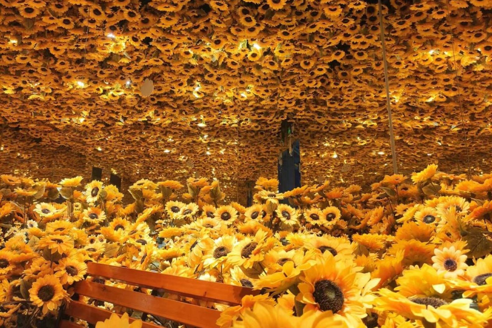 有潔白無瑕的 “獨角獸的夢”，彷彿置身夢幻空間；還有 “海洋奇緣” 水母房，能讓人近距離感受海洋的夢幻