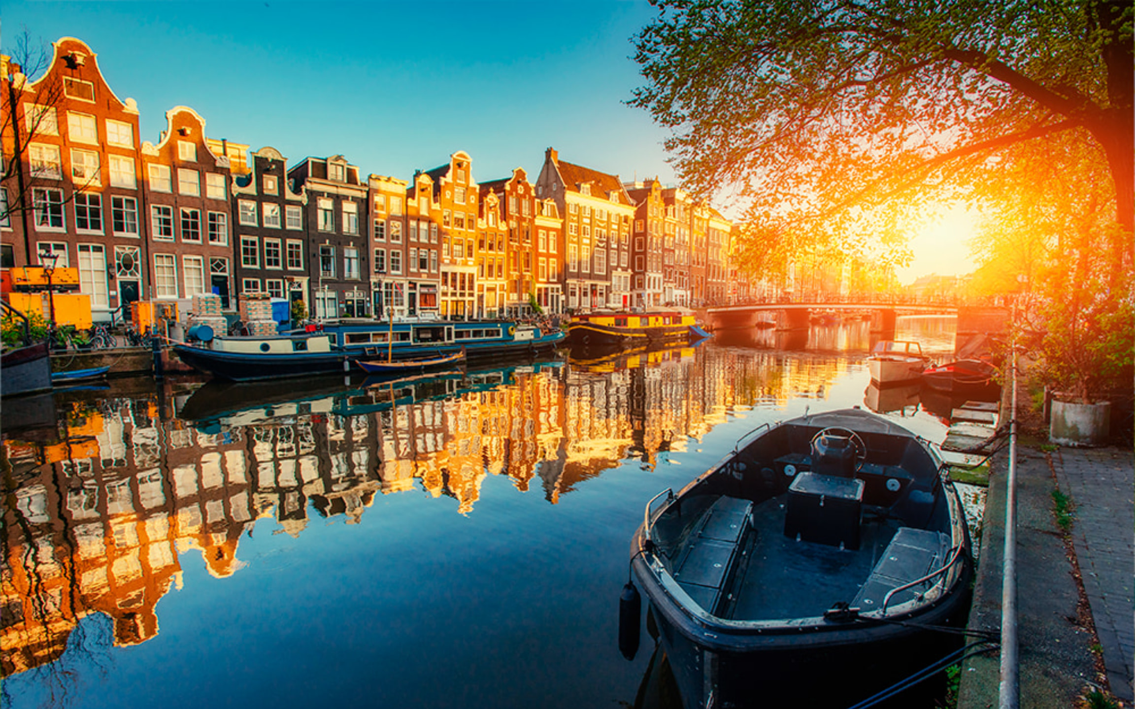 Jordaan, Anne Frank, and Vondelpark walking tour in Amsterdam