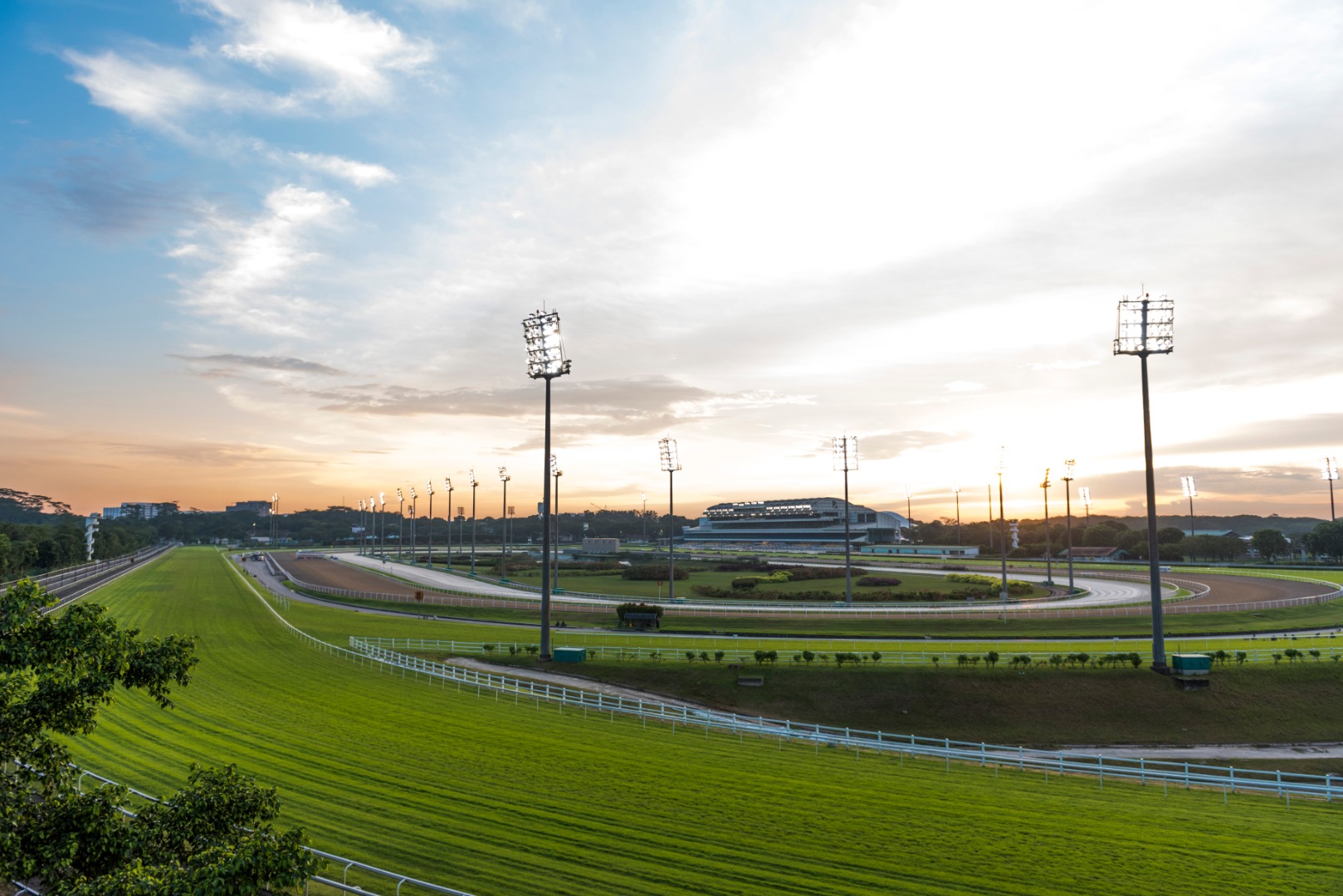 新加坡賽馬公會觀賽 & 用餐體驗