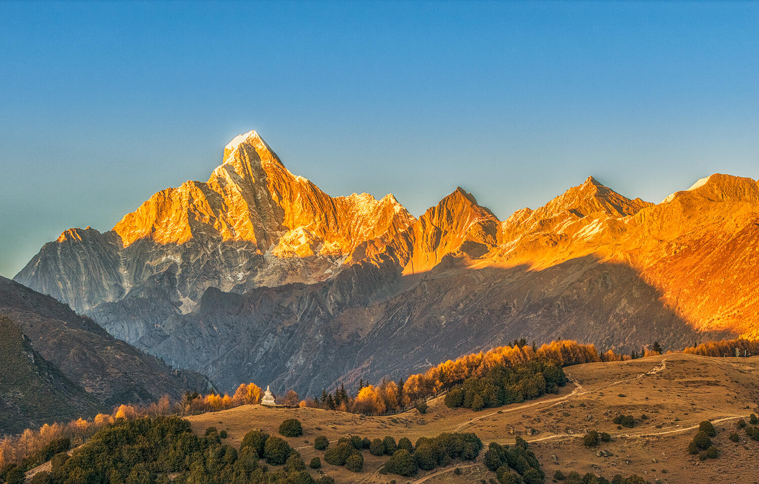 陽光為四姑娘山鍍上一層金輝，巍峨山峰與山腳下的林海、白塔相映，盡顯高原雪山的雄渾與秀麗