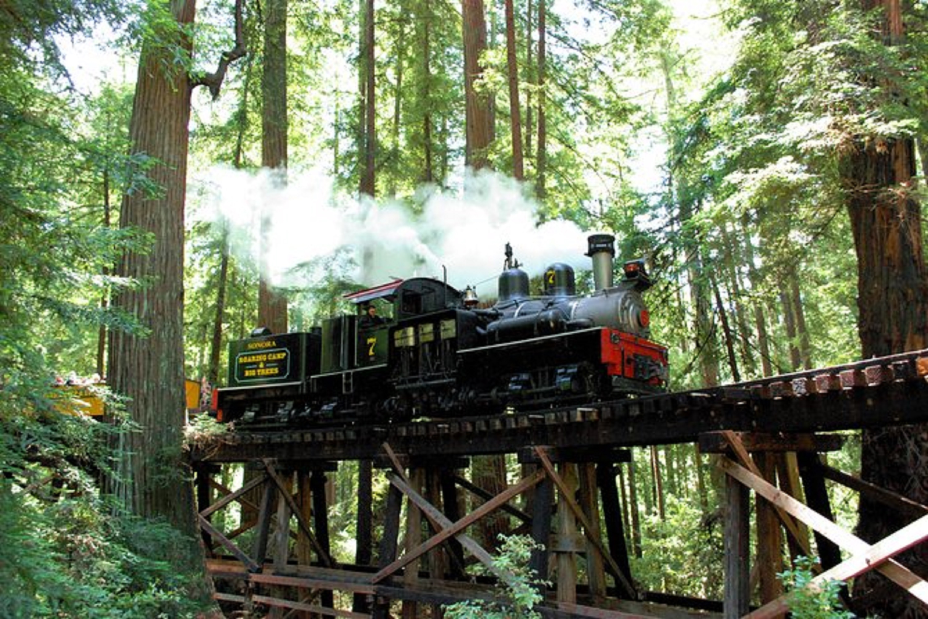 Redwood Forest Steam Train and Santa Cruz Harbor Day Tour