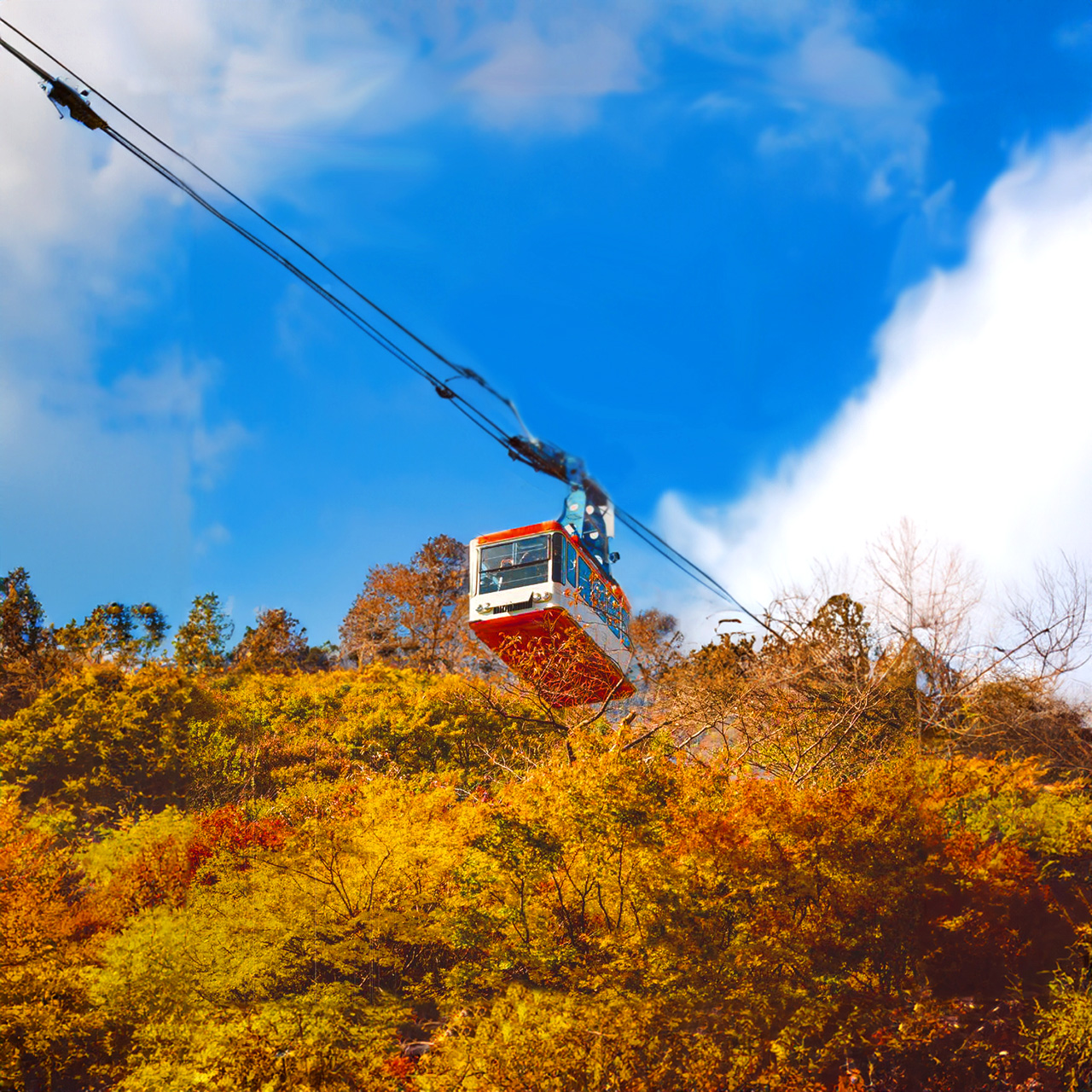 🚡 乘坐纜車，飽覽更多迷人風光。