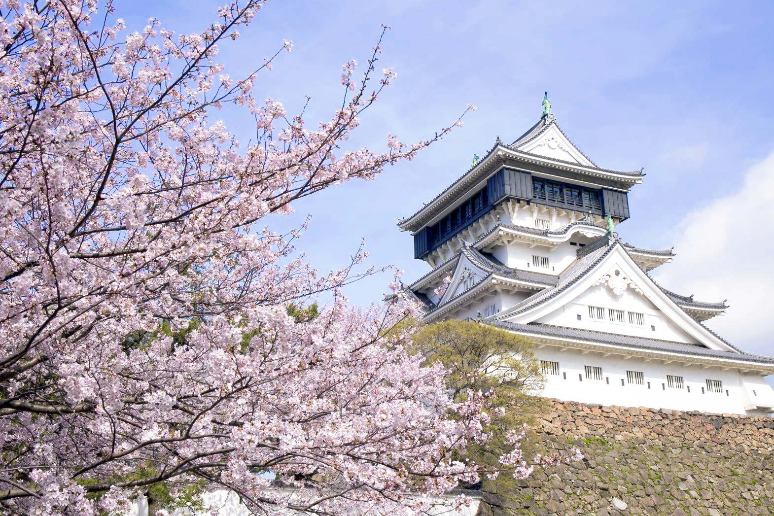 賞花限定｜北九州｜門司港·唐戶市場·小倉城·河內藤園賞紫藤花一日遊｜福岡出發