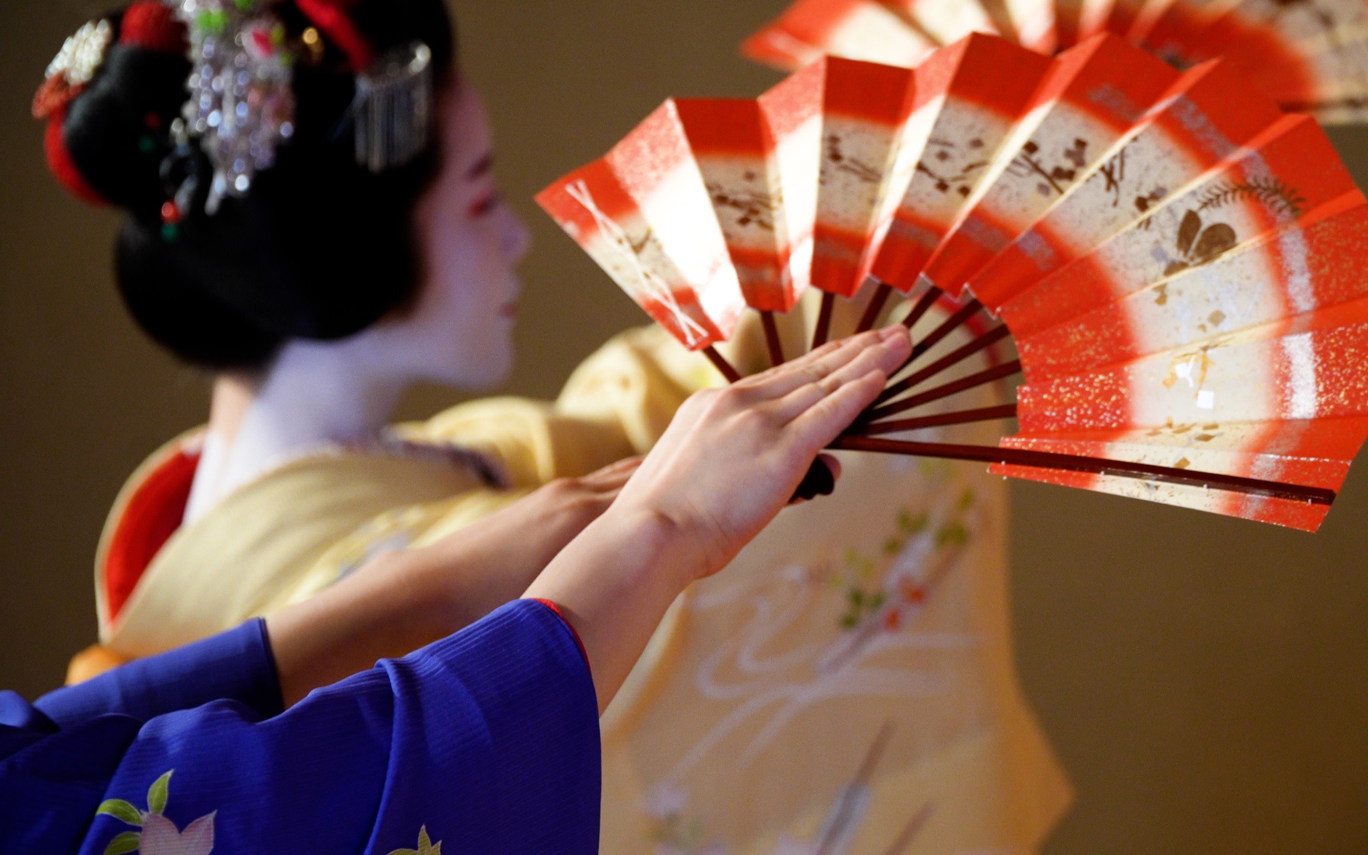 Authentic Maiko Experience in Kyoto with Bento Meal & Drinks