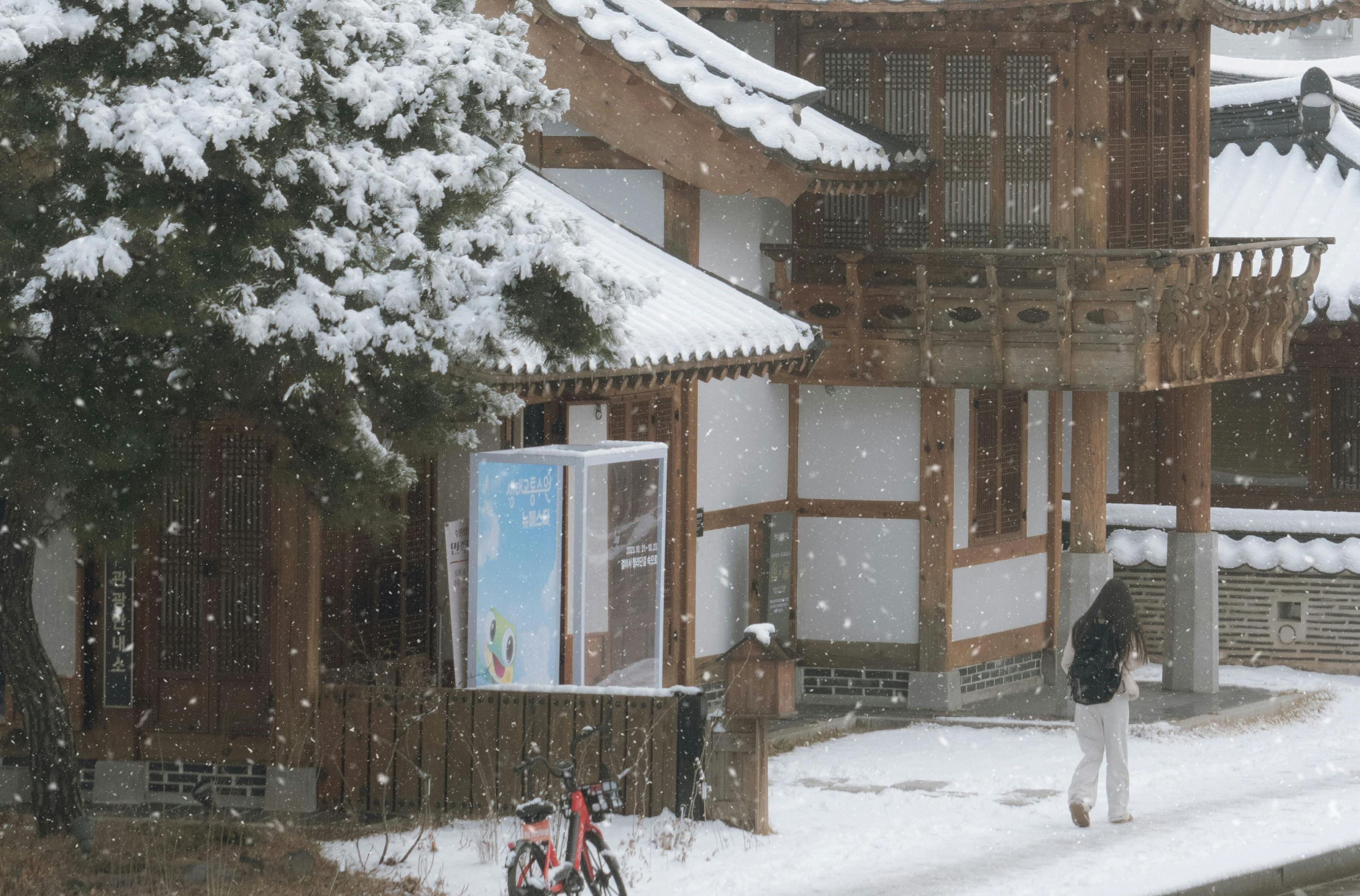 全州韓屋村＆季節性熱門景點一日遊