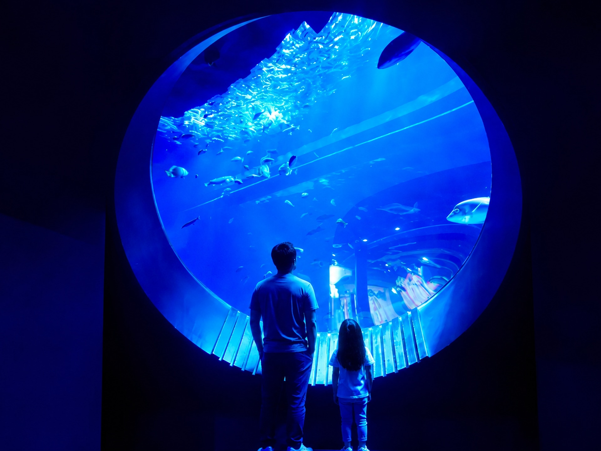 DMM水族館 DMM水族館