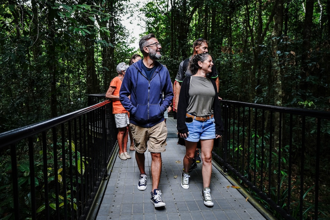 Morning Half-Day Daintree Rainforest Tour