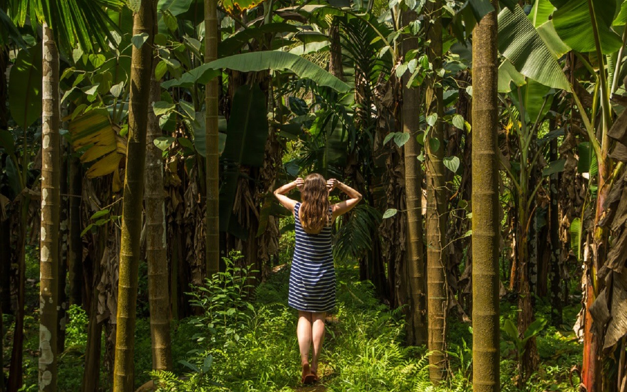 Experience the Best of South Goa with Spice Plantation Private Tour