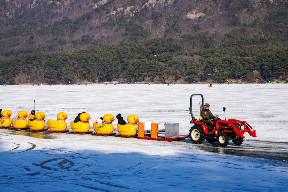 山井湖水大黃鴨雪橇 & 抱川藝術谷 & 香草島樂園一日遊