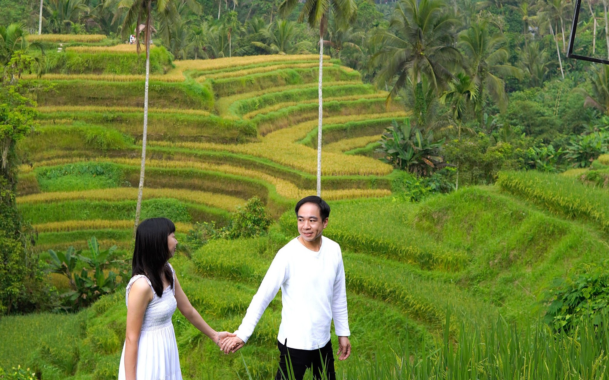 Ubud Private Full-Day Tour with Temple & Waterfall