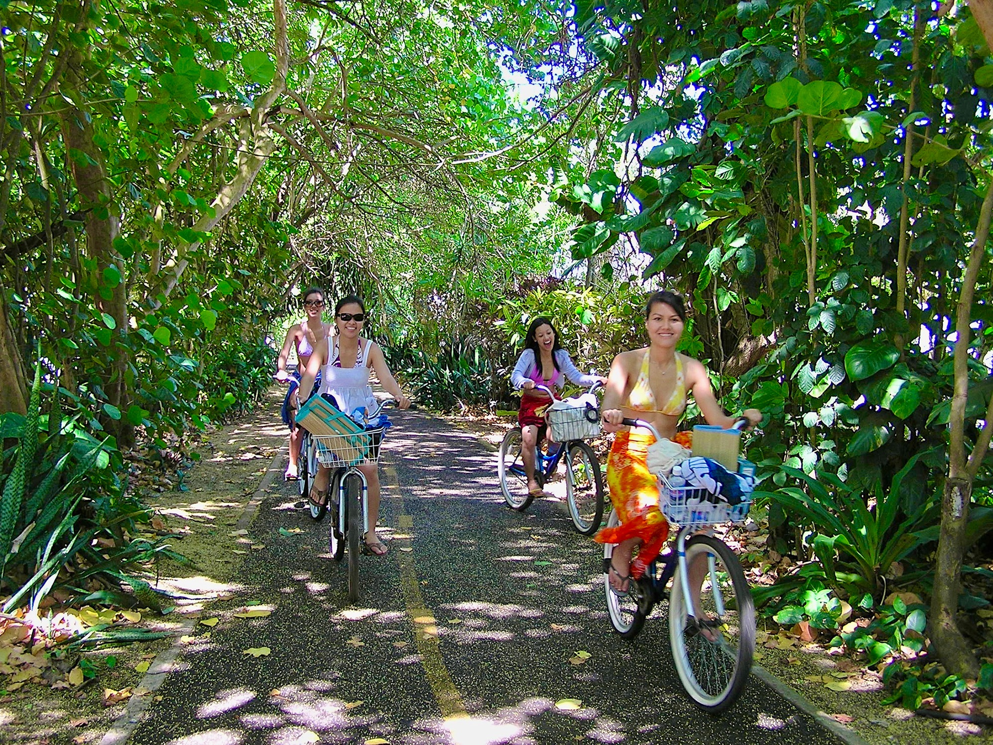 騎自行車穿過樹木隧道自行車道，尋找屬於您自己的天堂