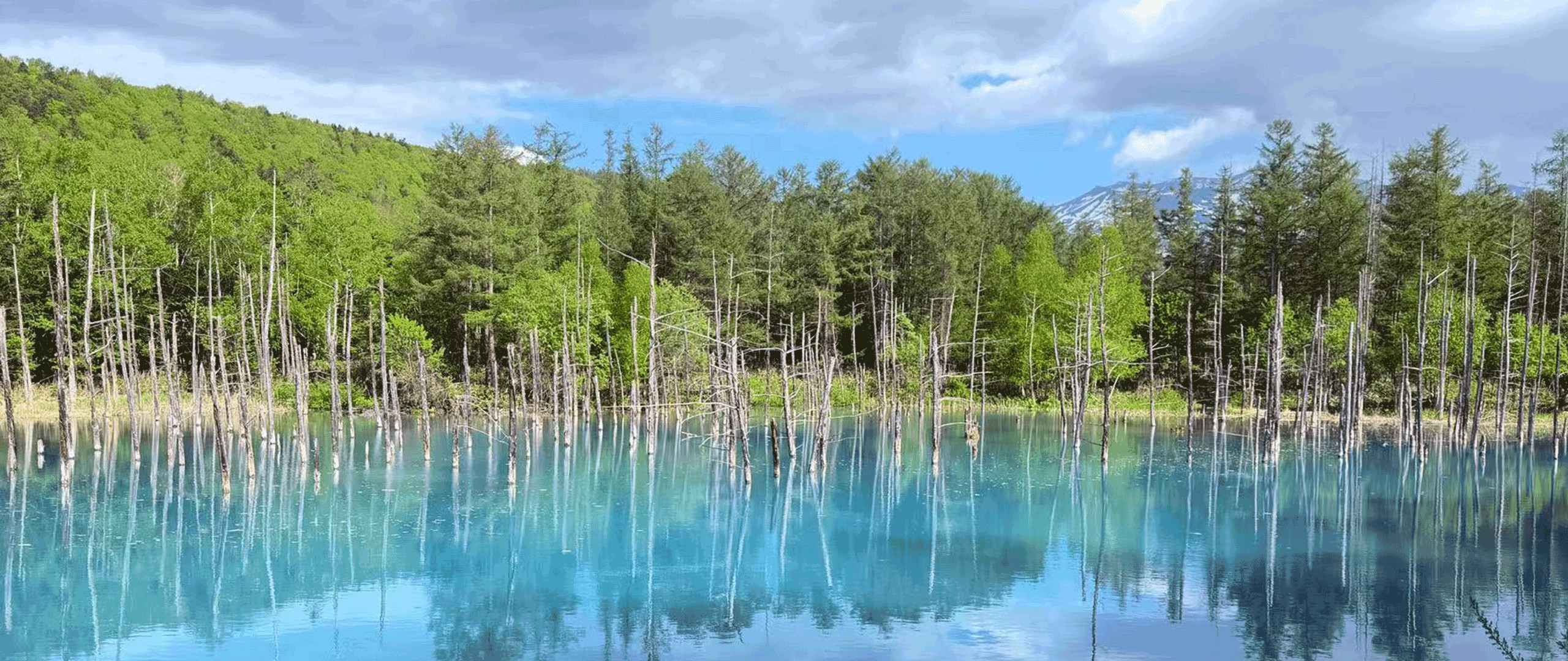 北海道】 Sapporo Tomita Farm & Furano Full-Day Tour with Private