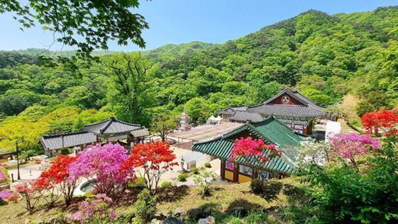 寺廟在世宗大王統治時期重建，內有 2 尊佛像和 8 尊菩薩像。