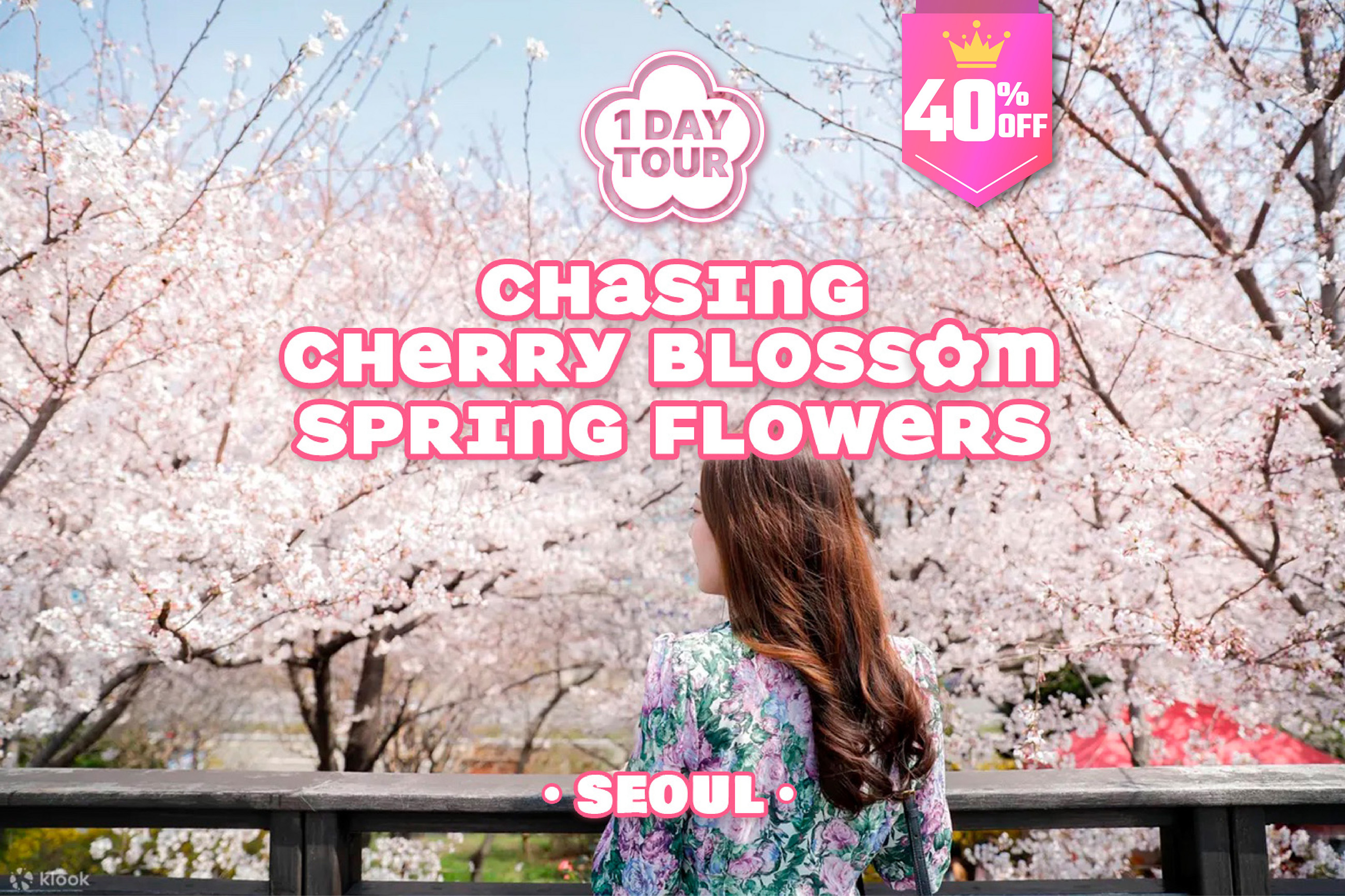 Chasing Cherry Blossom & Spring Flowers Day Tour from Seoul 