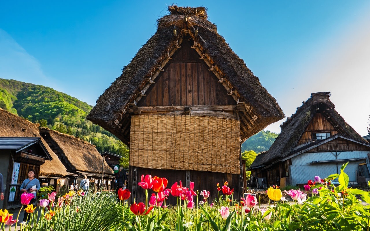 2026 Winter Limited Edition | Step into a Snow Country Fairytale: A Day Trip to the Dreamy Light-Up Event in the Mountains and Shirakawa-go