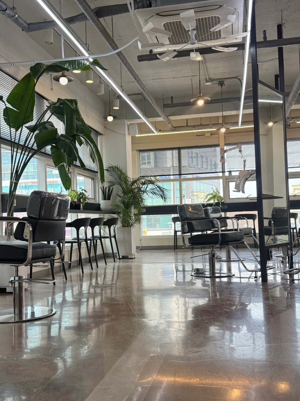 Hairstyling Experience at OLRANG in Hongdae