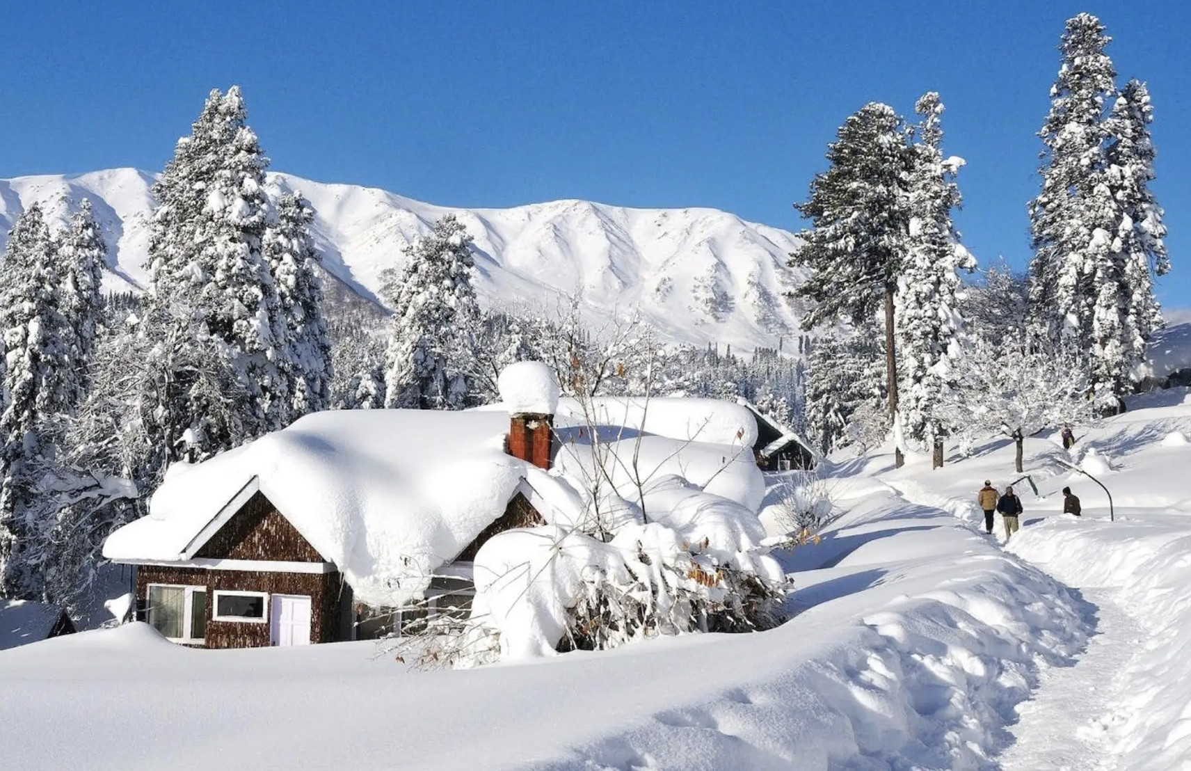 From Srinagar: Gulmarg Full-Day Private Tour with Guide & AC Car 