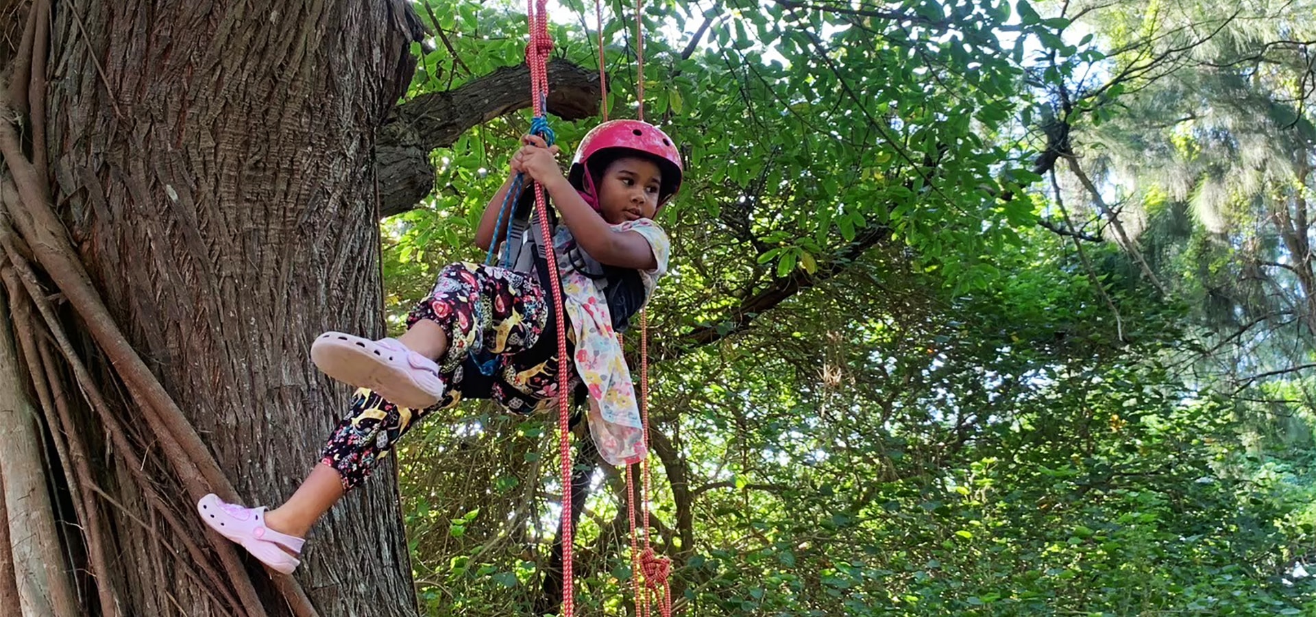 攀樹體驗🌳 攀樹體驗🌳