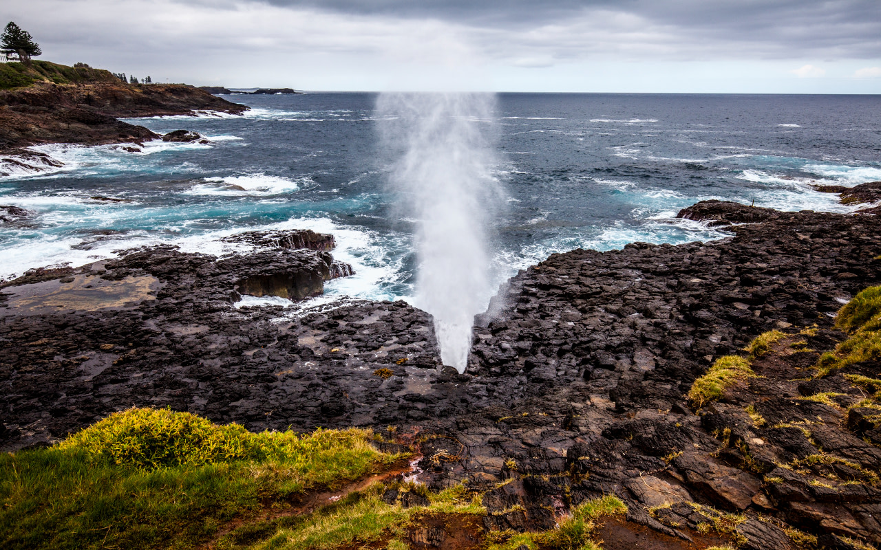 從禿頭山 (Bald Hill) 俯瞰懸崖峭壁，將波光粼粼的太平洋全景盡收眼底。