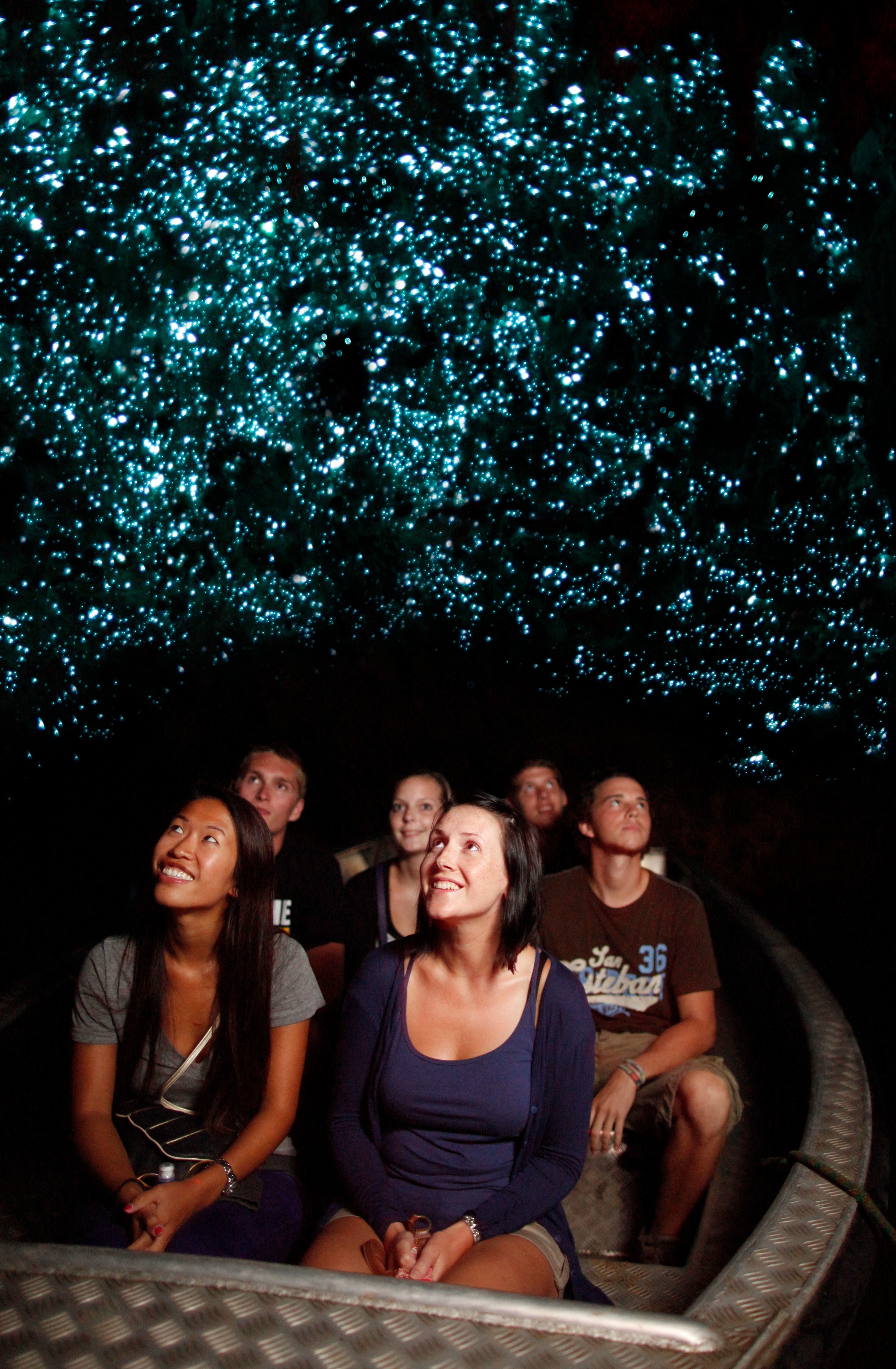 Waitomo Caves and Kiwi House Small Group Tour