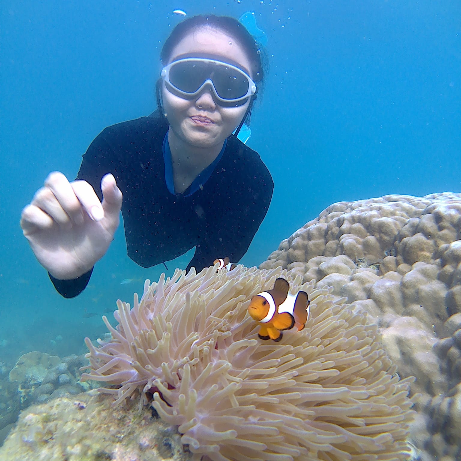 在民丹島 (Bintan) 令人驚豔的珊瑚礁中暢游,享受在清澈碧藍海水中浮潛的難忘體驗 在民丹島 (Bintan) 令人驚豔的珊瑚礁中暢游,享受在清澈碧藍海水中浮潛的難忘體驗