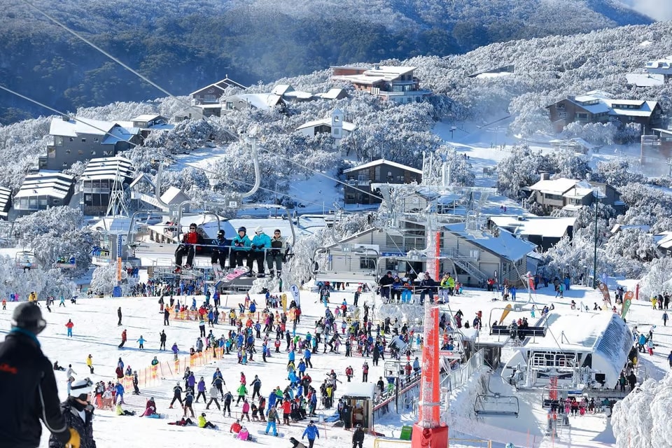 Mount Buller Group Snowboarding Tour